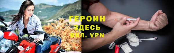 сатива Новозыбков