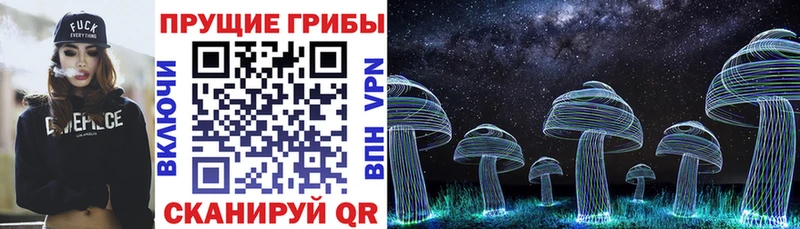 kraken рабочий сайт  продажа наркотиков  Магадан  Галлюциногенные грибы Psilocybine cubensis 